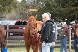 LR-WRF 0402026 Retreat-3160